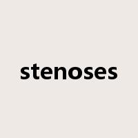 stenoses是什么意思