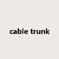 cable trunk是什么意思