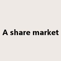 A share market是什么意思