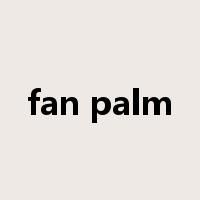 fan palm是什么意思