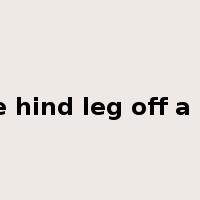 talk the hind leg off a donkey是什么意思