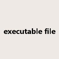 executable file是什么意思