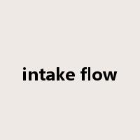 intake flow是什么意思