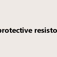 protective resistor是什么意思