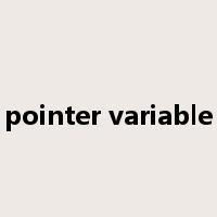 pointer variable是什么意思