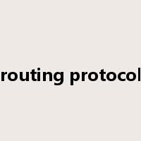 routing protocol是什么意思