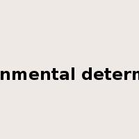 environmental determinism是什么意思