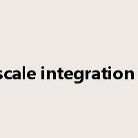 large scale integration circuit是什么意思
