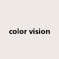 color vision是什么意思