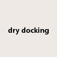 dry docking是什么意思