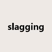 slagging是什么意思