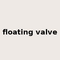 floating valve是什么意思