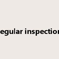 regular inspection是什么意思