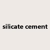 silicate cement是什么意思