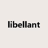 libellant是什么意思