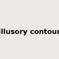 illusory contour是什么意思
