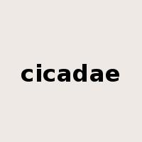 cicadae是什么意思