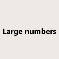 Large numbers是什么意思