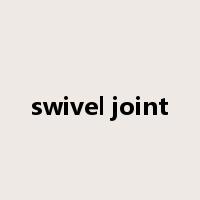 swivel joint是什么意思