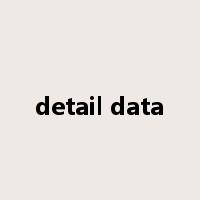 detail data是什么意思