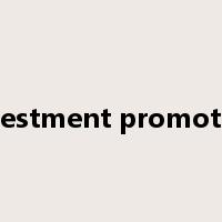 investment promotion是什么意思