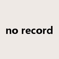 no record是什么意思
