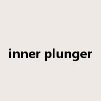 inner plunger是什么意思