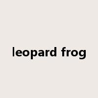 leopard frog是什么意思