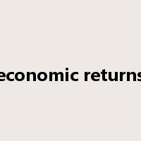 economic returns是什么意思