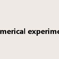 numerical experiment是什么意思