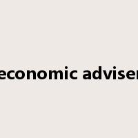 economic adviser是什么意思