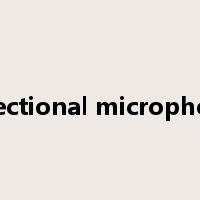directional microphone是什么意思