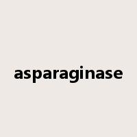asparaginase是什么意思