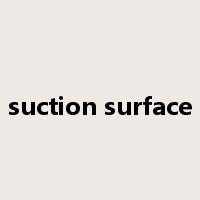 suction surface是什么意思