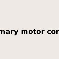 primary motor cortex是什么意思