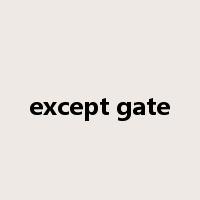 except gate是什么意思