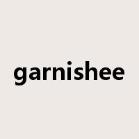 garnishee是什么意思