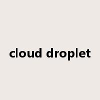 cloud droplet是什么意思
