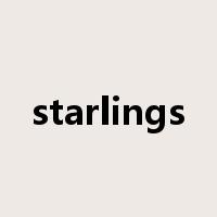 starlings是什么意思