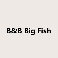 B&B Big Fish是什么意思