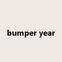 bumper year是什么意思
