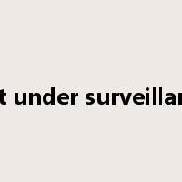 put under surveillance是什么意思