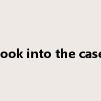 look into the case是什么意思