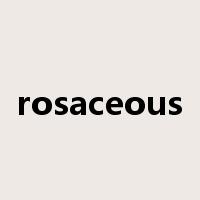 rosaceous是什么意思