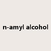 n-amyl alcohol是什么意思