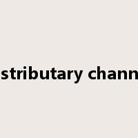 distributary channel是什么意思