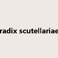 radix scutellariae是什么意思