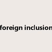 foreign inclusion是什么意思