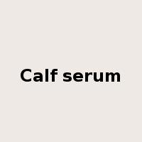 Calf serum是什么意思