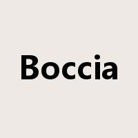 Boccia是什么意思